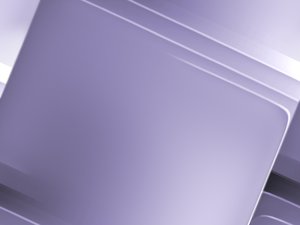 会员制